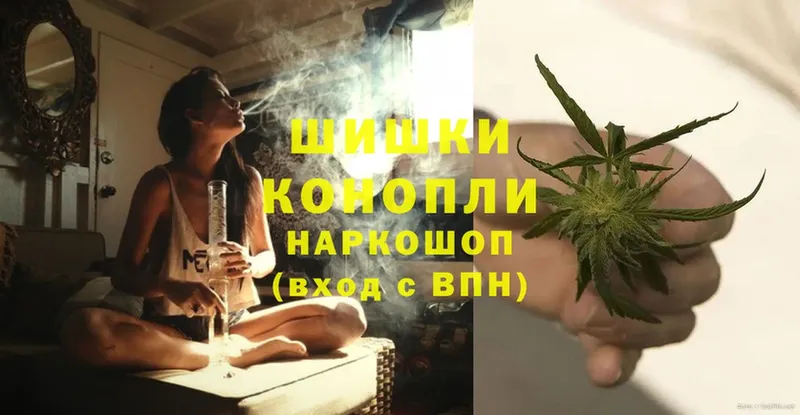 Шишки марихуана план  купить  сайты  Будённовск 